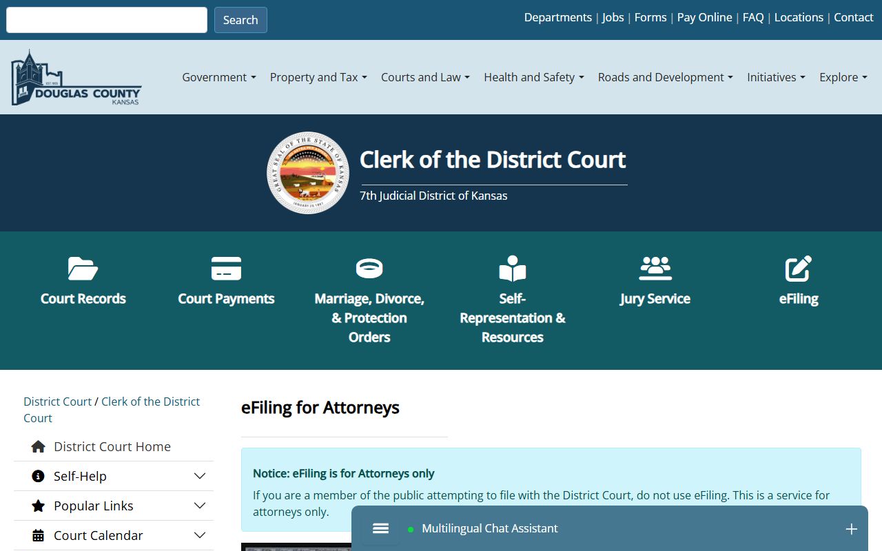 Douglas County court records eFiling and clerk access