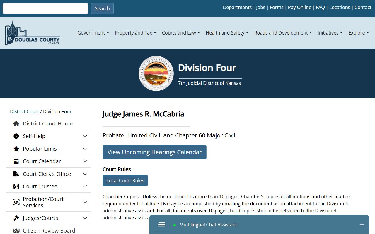 Douglas County District Court Division 4 probate and civil records page