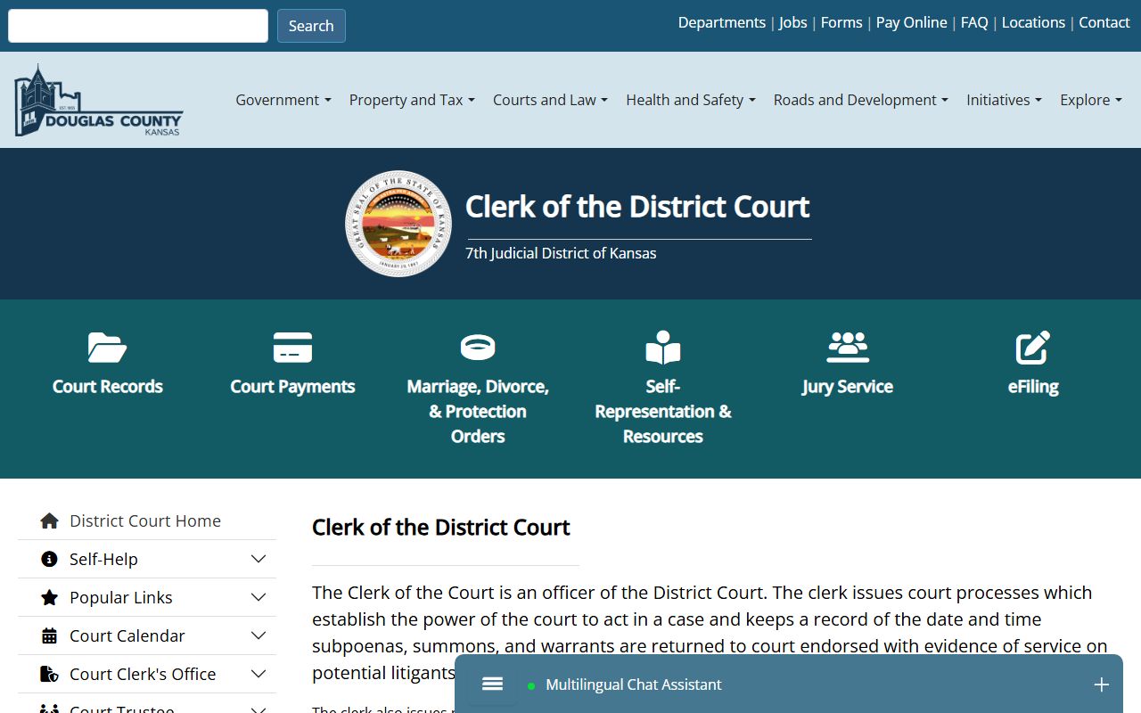 Douglas County court records Clerk of the District Court page
