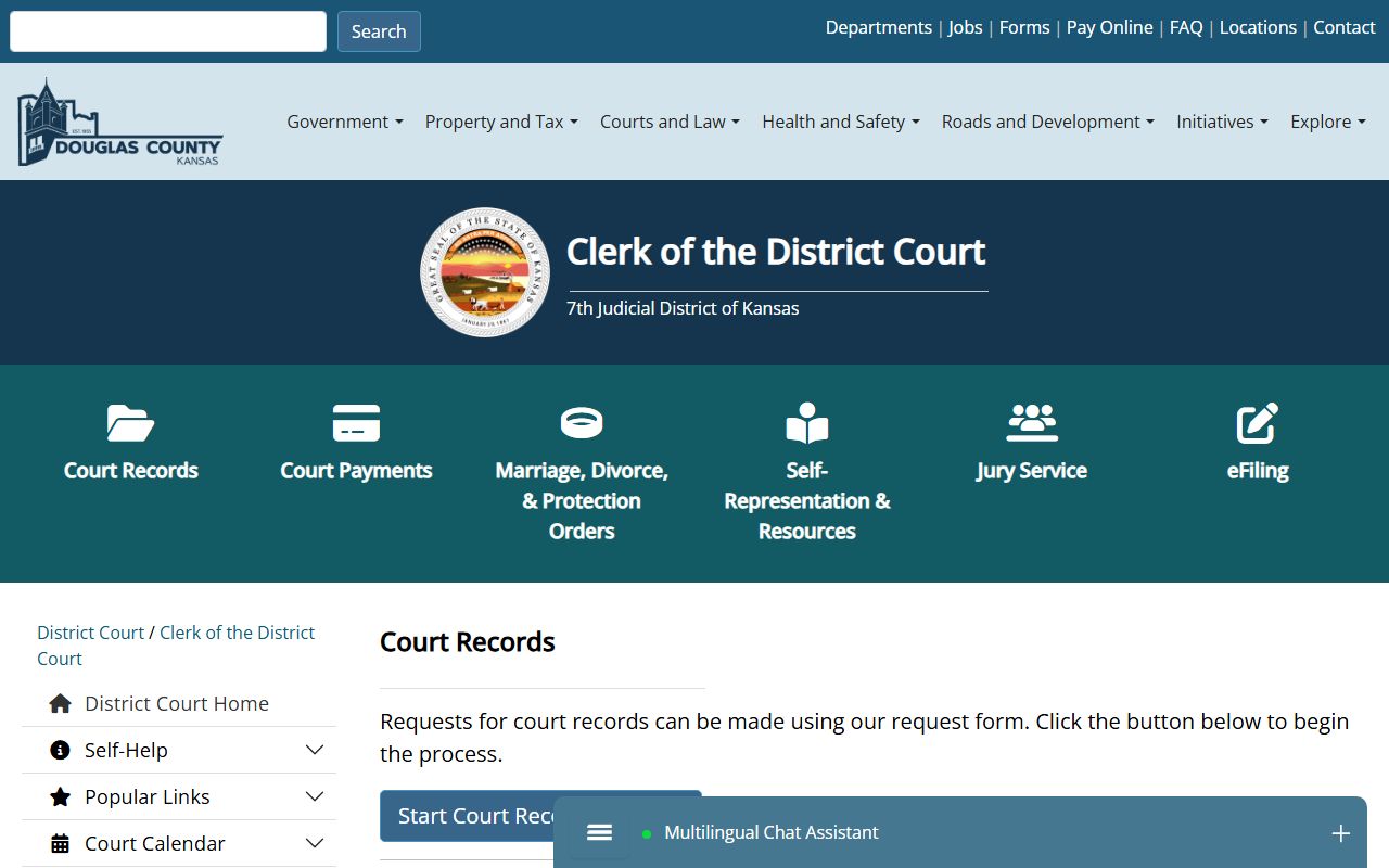 Douglas County court records request page